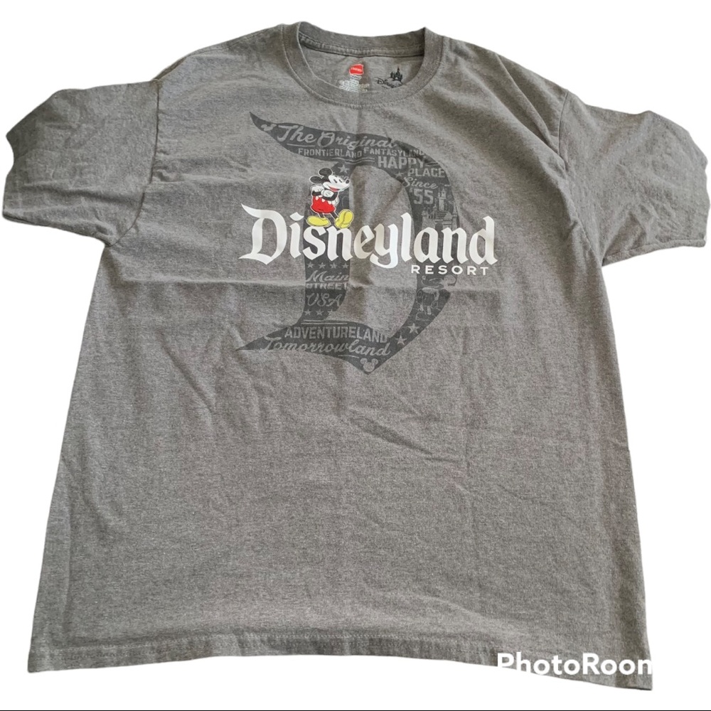Disney Hanes gray large T-shirt unisex